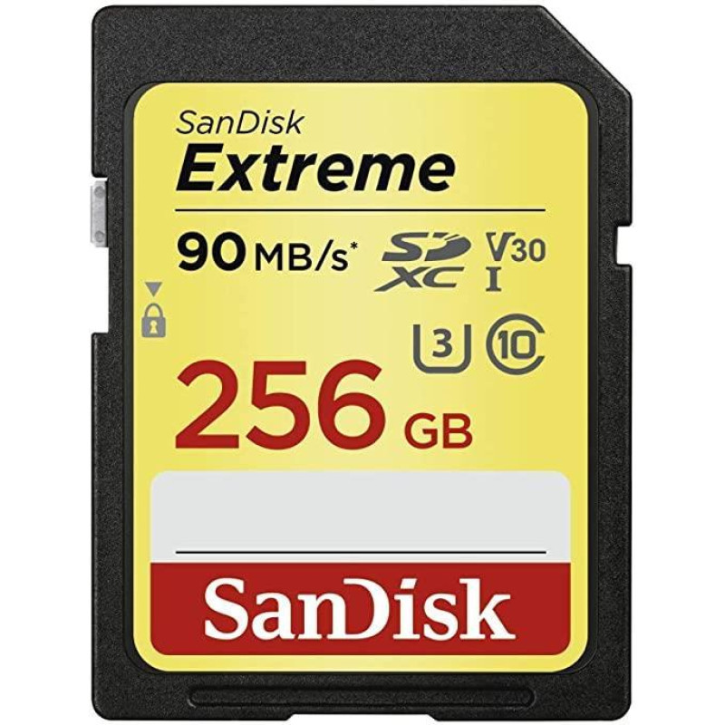 Sandisk By Western Digital MEMORY SDXC 256GB UHS-1/SDSDXVV-256G-GNCIN SANDISK