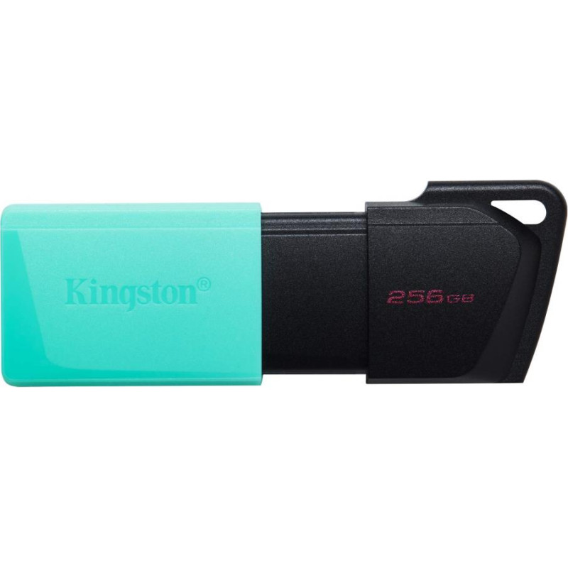 Kingston MEMORY DRIVE FLASH USB3.2/256GB DTXM/256GB KINGSTON