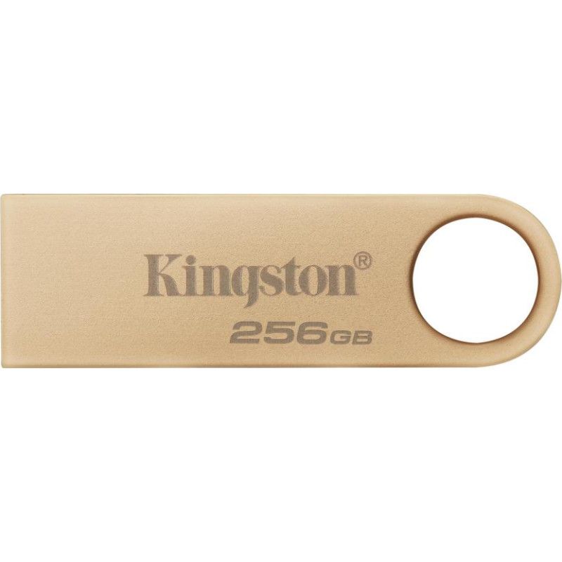 Kingston MEMORY DRIVE FLASH USB3.2/256GB DTSE9G3/256GB KINGSTON