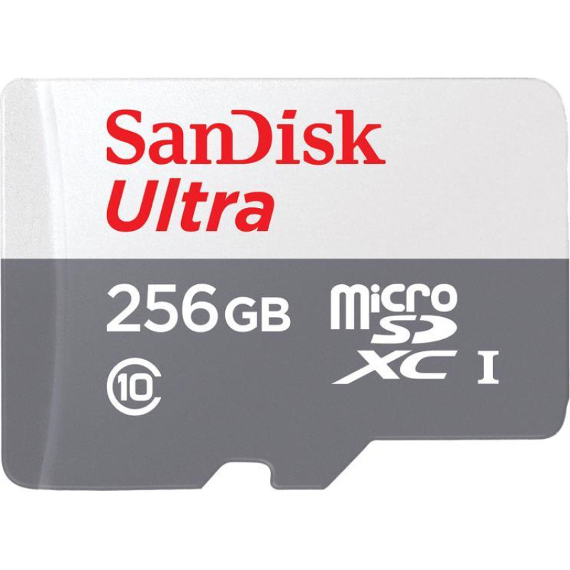 Sandisk By Western Digital MEMORY MICRO SDXC 256GB UHS-I/SDSQUNR-256G-GN3MN SANDISK