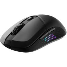 MSI MOUSE USB OPTICAL WRL GAMING/VERSA 300 ELITE W MSI