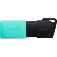 Kingston MEMORY DRIVE FLASH USB3.2/64GB DTXM/64GB KINGSTON