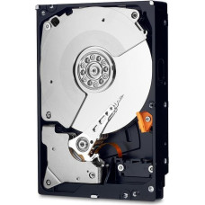 Western Digital HDD|WESTERN DIGITAL|Black|4TB|SATA 3.0|256 MB|7200 rpm|3,5