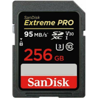 Sandisk MEMORY SDXC 256GB UHS-1/SDSDXXD-256G-GN4IN SANDISK