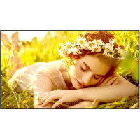 LG DISPLAY LCD 65"/65UL5Q-E LG