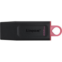 Kingston MEMORY DRIVE FLASH USB3.2/256GB DTX/256GB KINGSTON