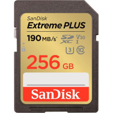 Sandisk MEMORY SDXC 256GB UHS-1/SDSDXWV-256G-GNCIN SANDISK