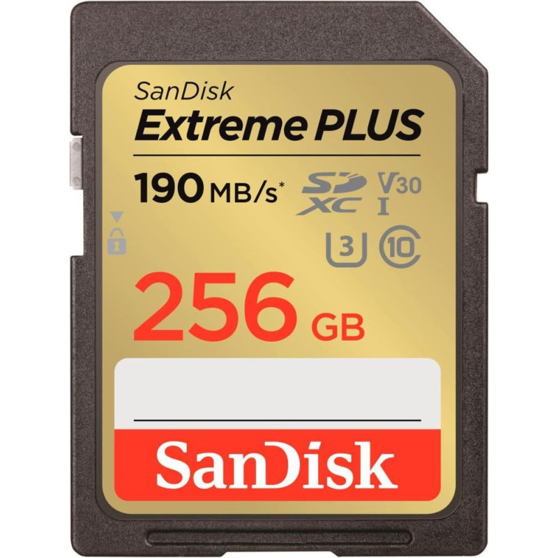 Sandisk MEMORY SDXC 256GB UHS-1/SDSDXWV-256G-GNCIN SANDISK