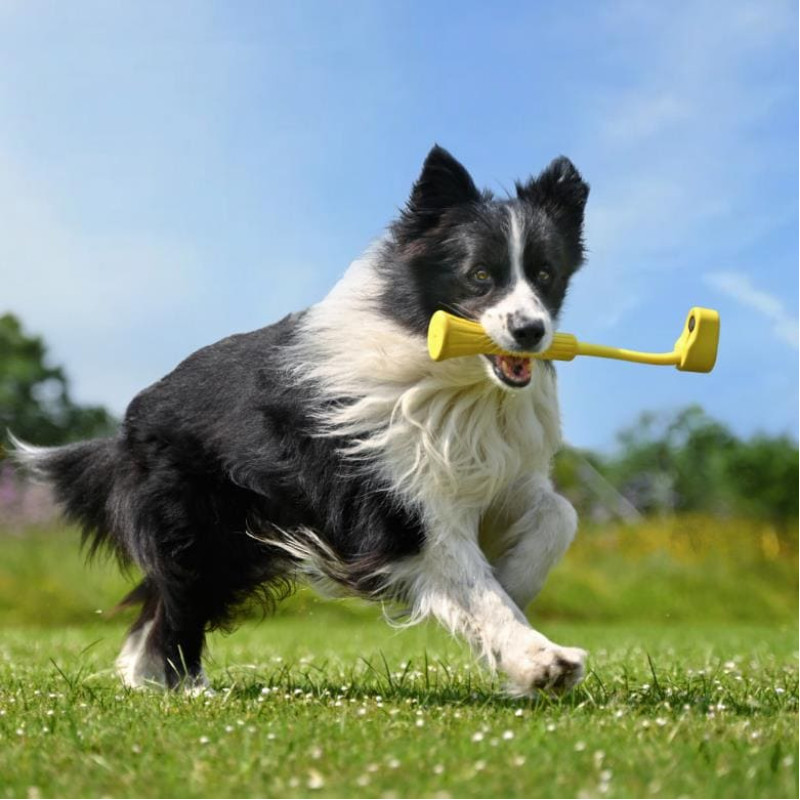 Insta360 ACTION CAM ACC FETCH STICK//GO 3 CINSBBKP INSTA360