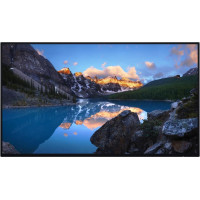 Dell LCD Monitor|DELL|U2424H|23.8"|Pivot|Matte|Panel IPS|1920x1080|16:9|120Hz|8 ms|Colour Black|210-BLBT