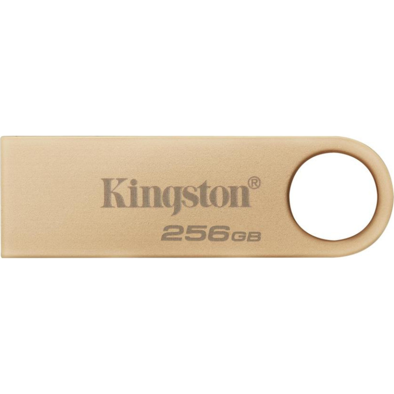 Kingston MEMORY DRIVE FLASH USB3.2/256GB DTSE9G3/256GB KINGSTON