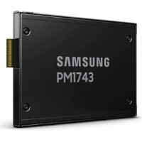 Samsung SSD|SAMSUNG|PM1743|3840 GB|PCI Express 5.0|NVMe Yes|2.5"|MZWLO3T8HCLS-00A07