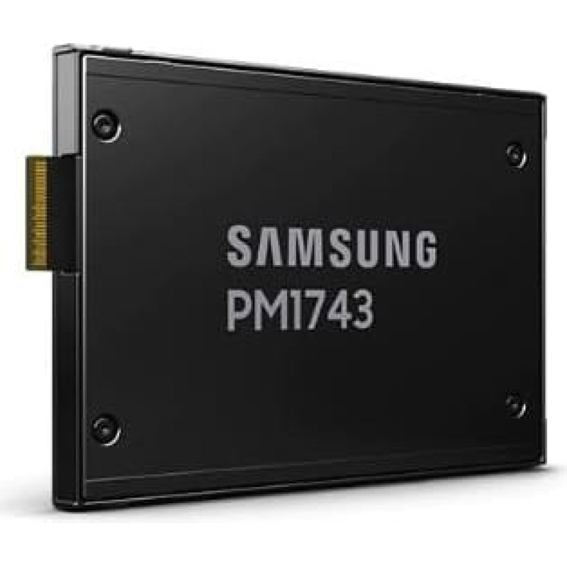 Samsung SSD|SAMSUNG|PM1743|3840 GB|PCI Express 5.0|NVMe Yes|2.5"|MZWLO3T8HCLS-00A07