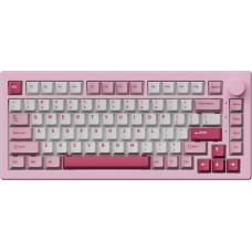 Akko KEYBOARD WRL 5075 V3/013-003-007-010-004 AKKO