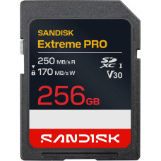 Sandisk MEMORY SDXC 256GB UHS-1/SDSDXXJ-256G-GSCIN SANDISK